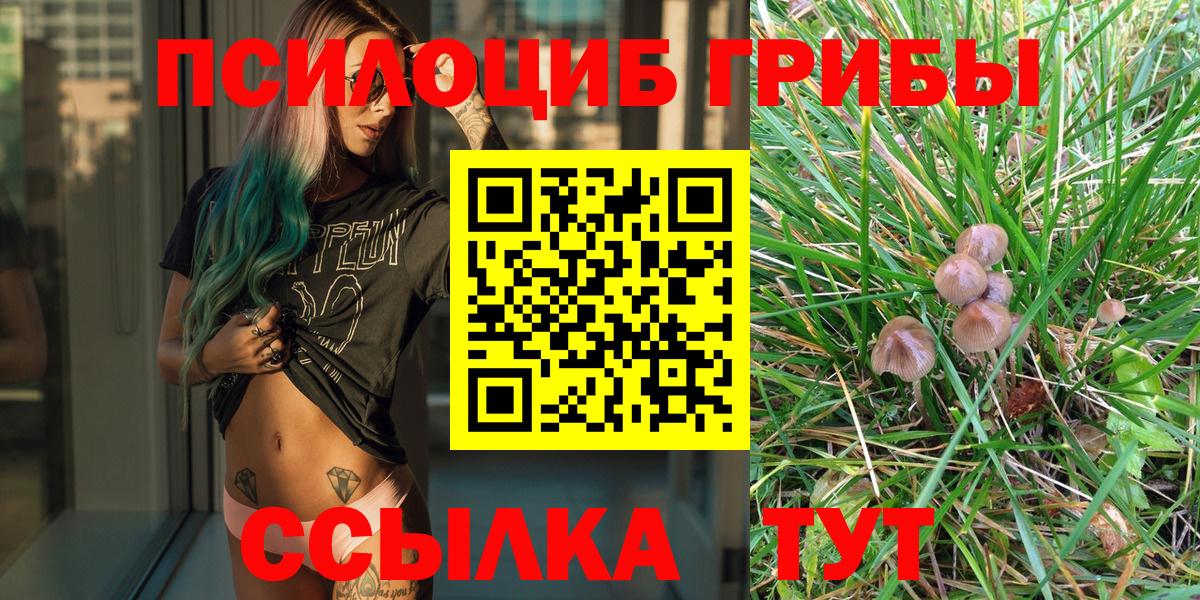 Галлюциногенные грибы Cubensis Сосновоборск